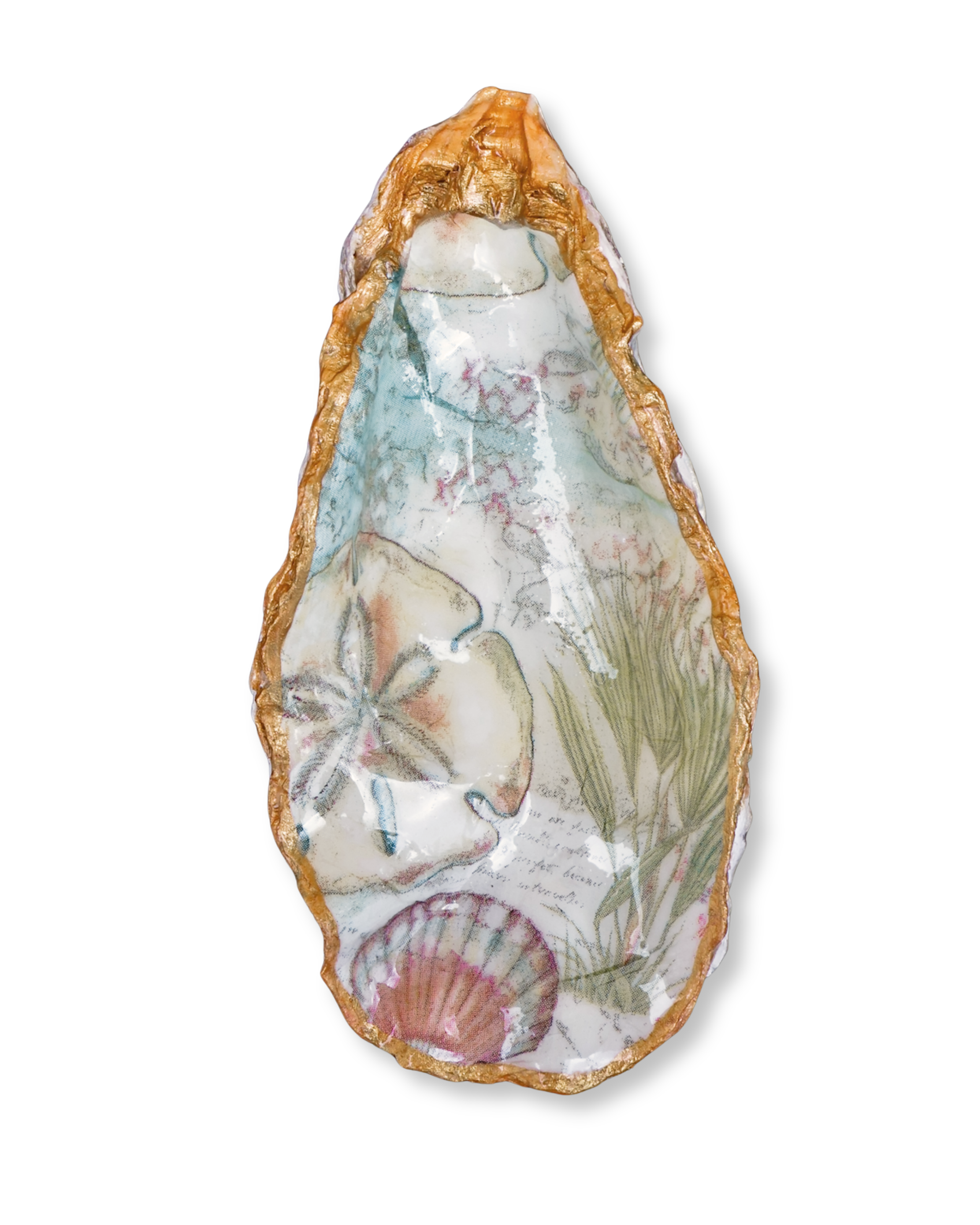 Tide Memory Oyster Shell Jewelry Dish