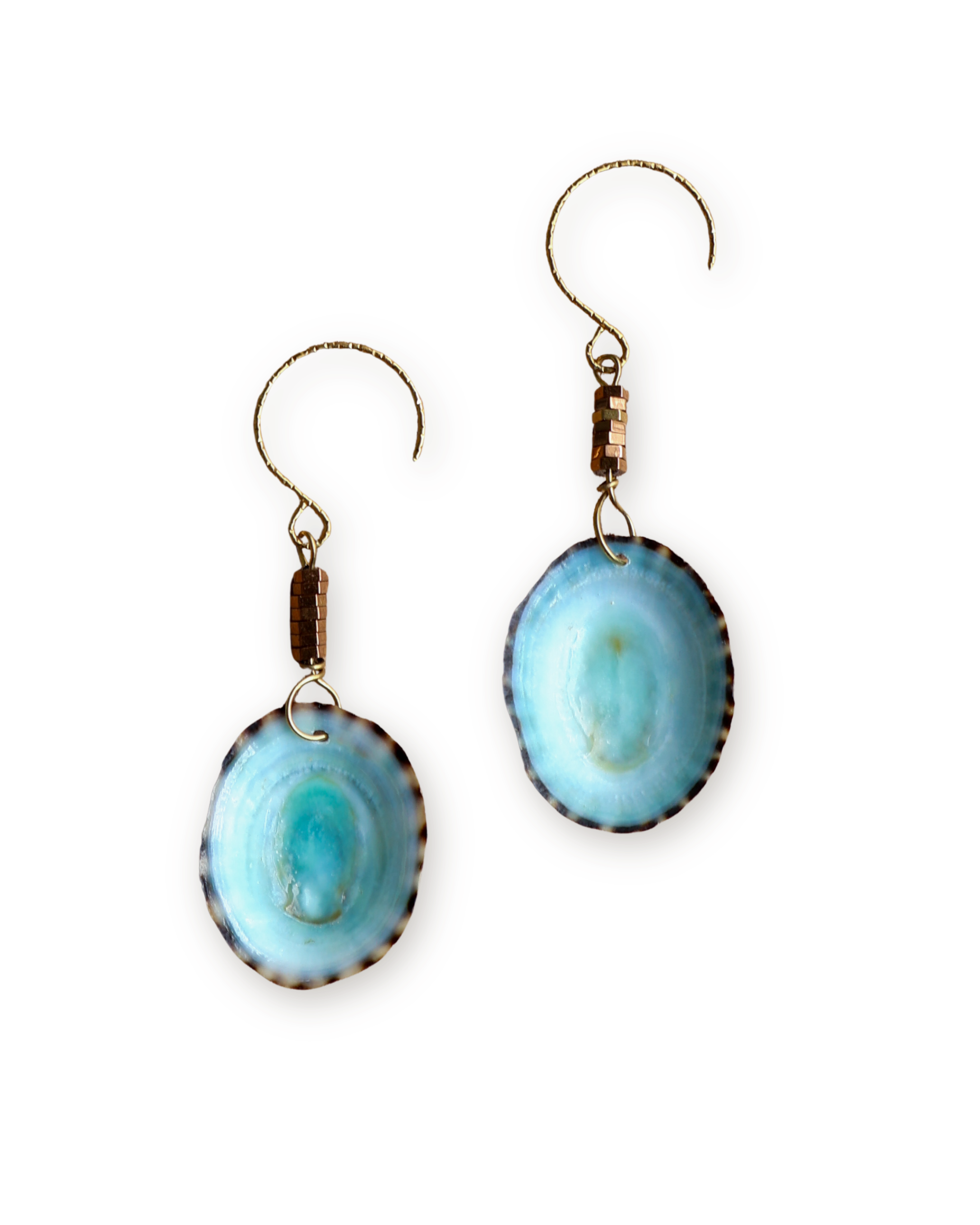 Moon Tide Limpet Shell Earrings