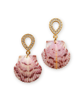 Shell Shimmer Earrings