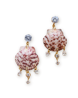 Crystal Coast Earrings