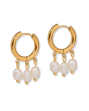 Sunlit Pearl Hoops