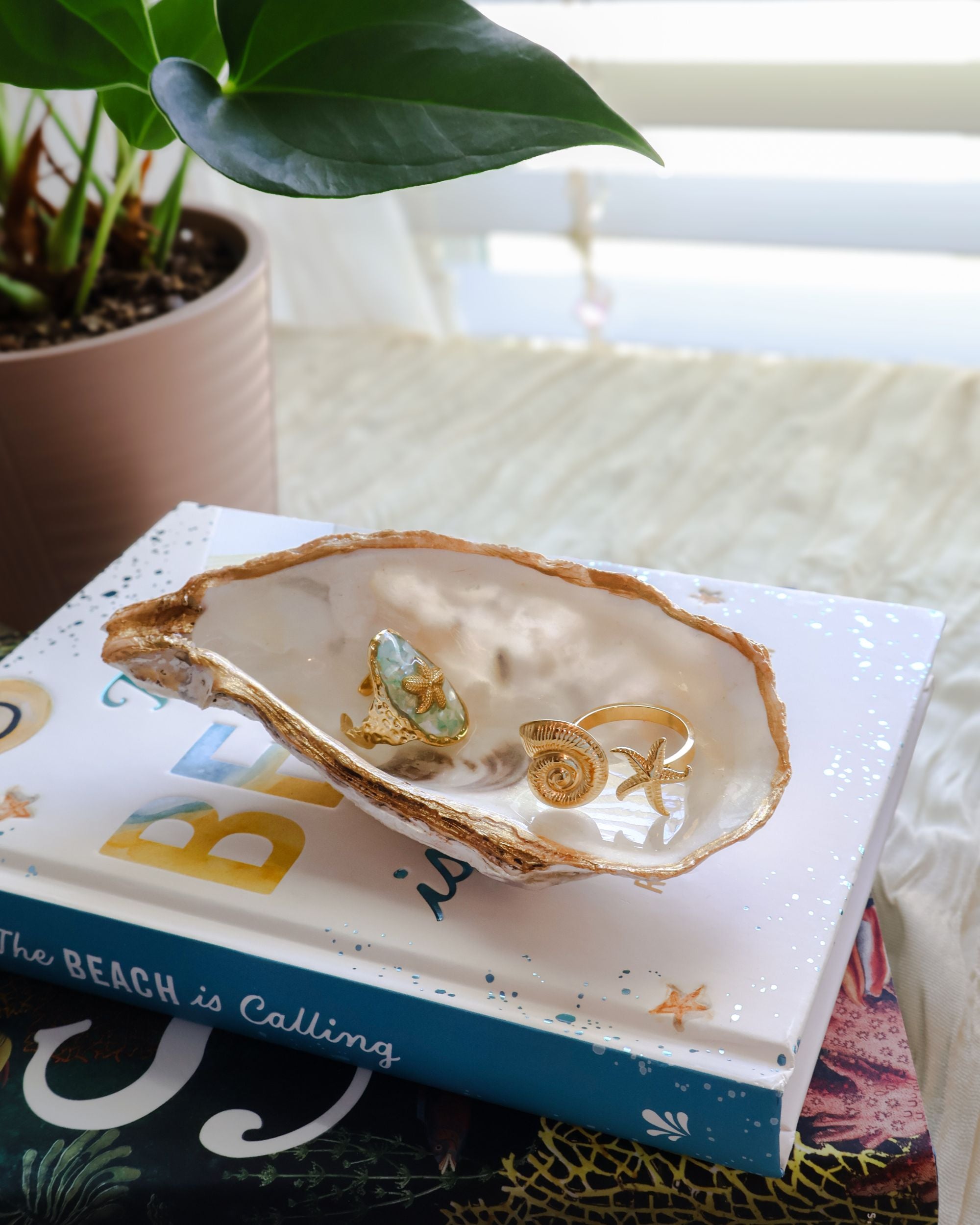 Iridescent Oyster Shell Jewelry Dish